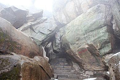 《JOJO群星之战R》第五部DLC角色10月28日上线