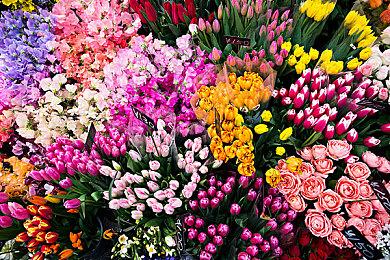 《命运2：终焉之形》“救赎的边缘”突袭明天上线